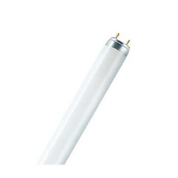 Tube fluorescent Lumilux T8...