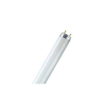 Fluo T8 18W blanc industrie