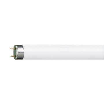 Lampe Tube fluo PHILIPS 36w...