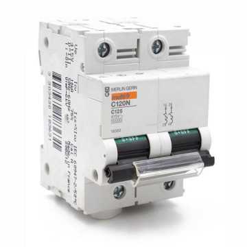 Disjoncteur C120N 2P/125A