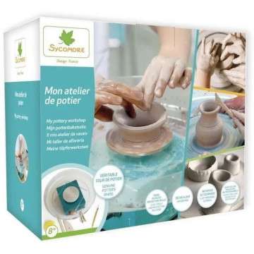 SYCOMORE - UN VERITABLE...