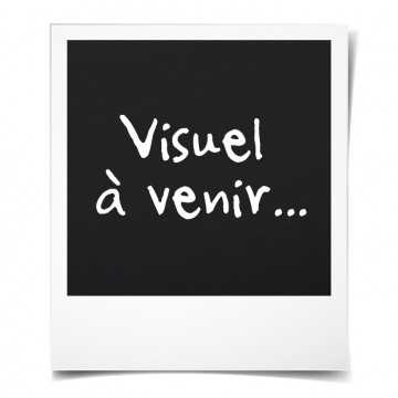 DOMIVA Balle d'activités...