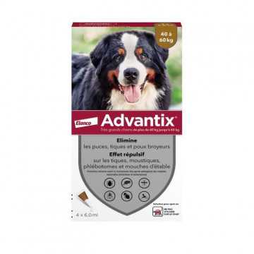 Advantix Chien Solution...