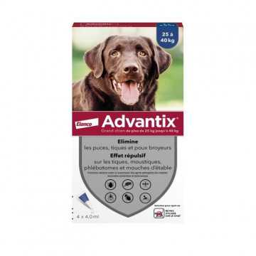 Advantix Chien Solution...