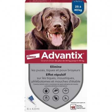 Advantix Chien Solution...