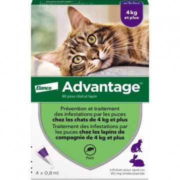 Advantage Solution Antipuce...