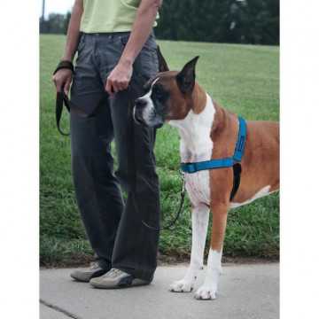 PetSafe - Harnais pour...
