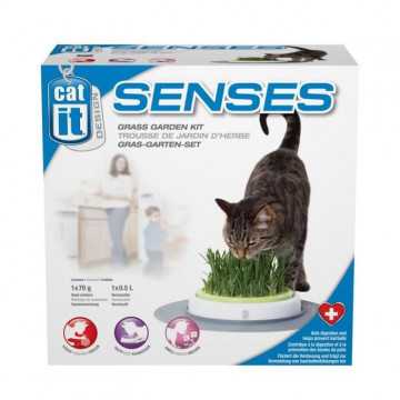 CAT IT Jardin d'herbe a chat