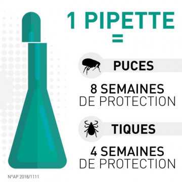 Frontline Combo Chien M 6...