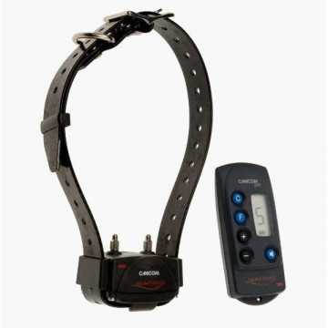 Ensemble dressage a...