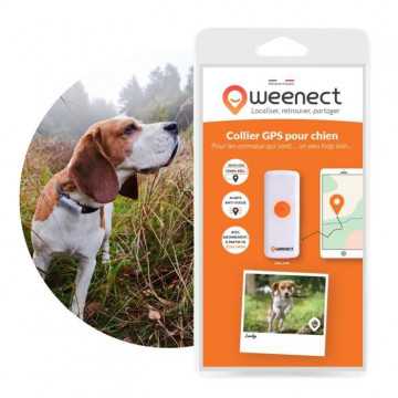 Collier GPS pour chien –...