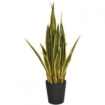 CATRAL - Plante...