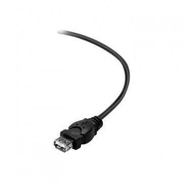 BELKIN Câble USB DSTP USBAM...